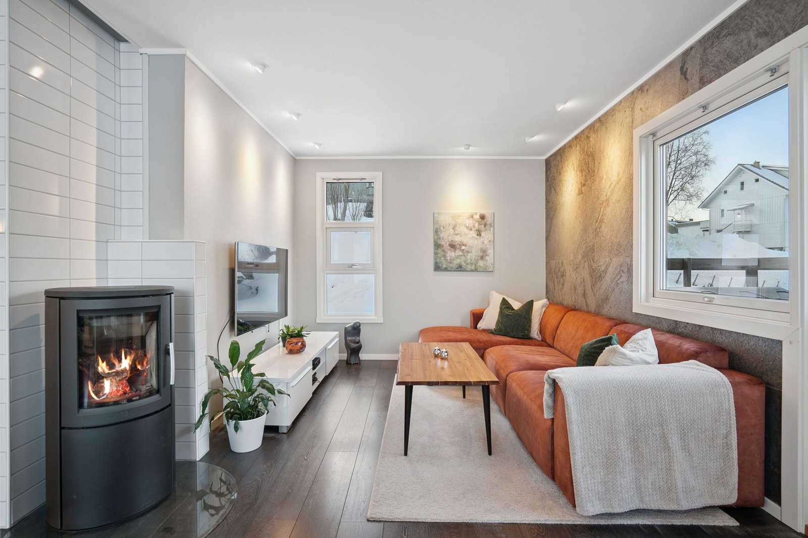 Egen Tv-krok i stuen. Galleribilde