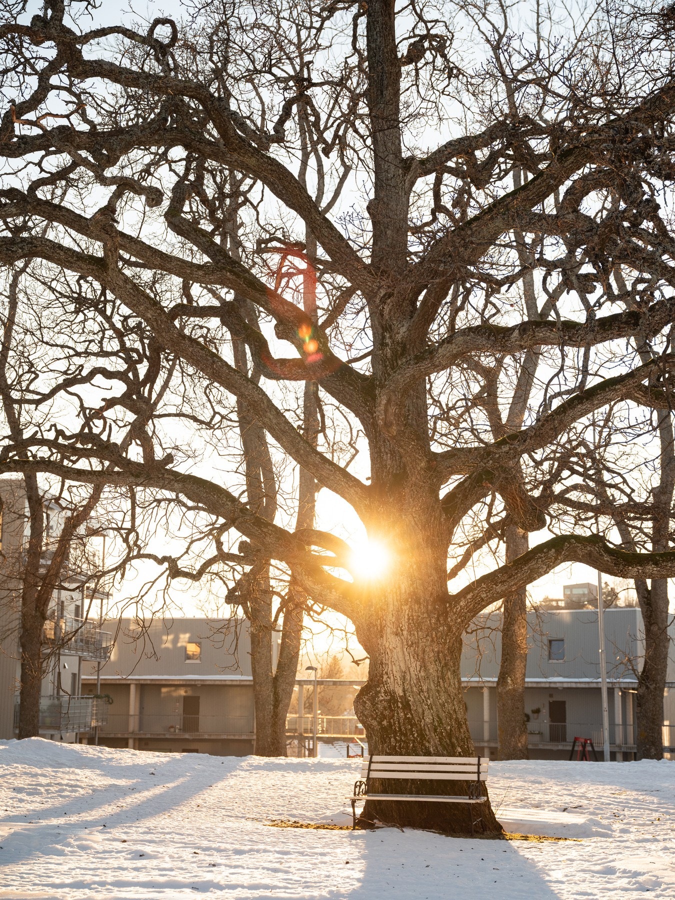 Det medfølger parkeringsplass i sameiets parkeringskjeller. Galleribilde