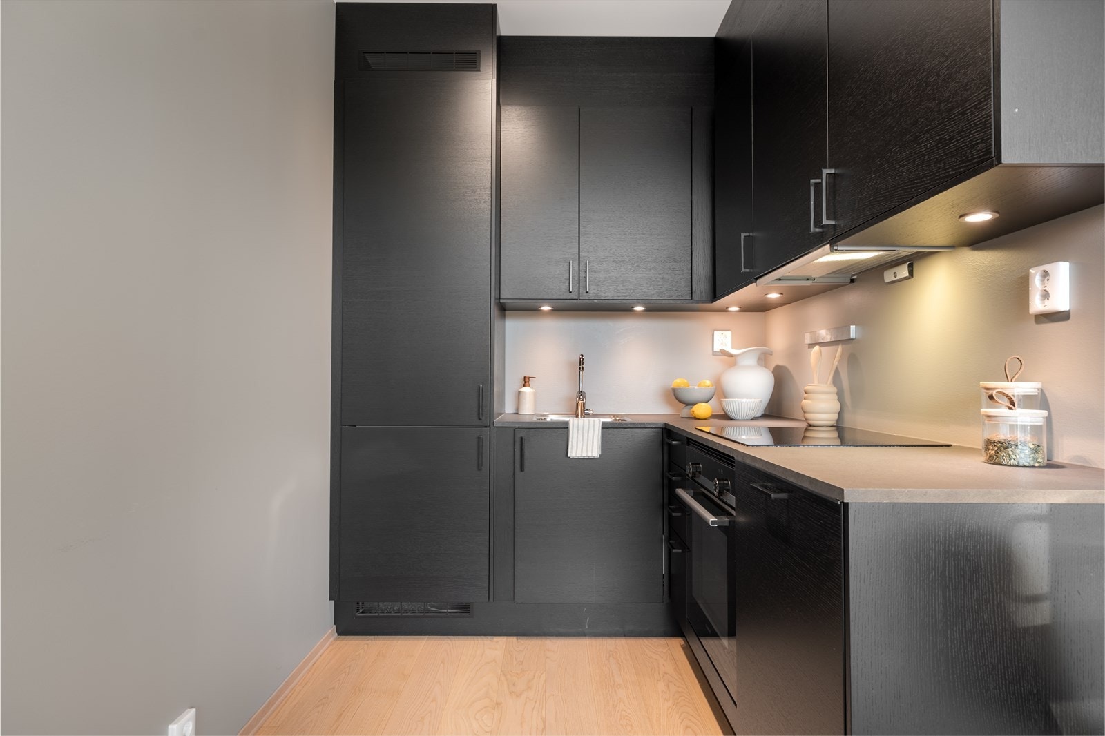 Kjøkkenet er innredet med oppvaskmaskin, stekeovn, platetopp og kjøleskap/frys. Galleribilde