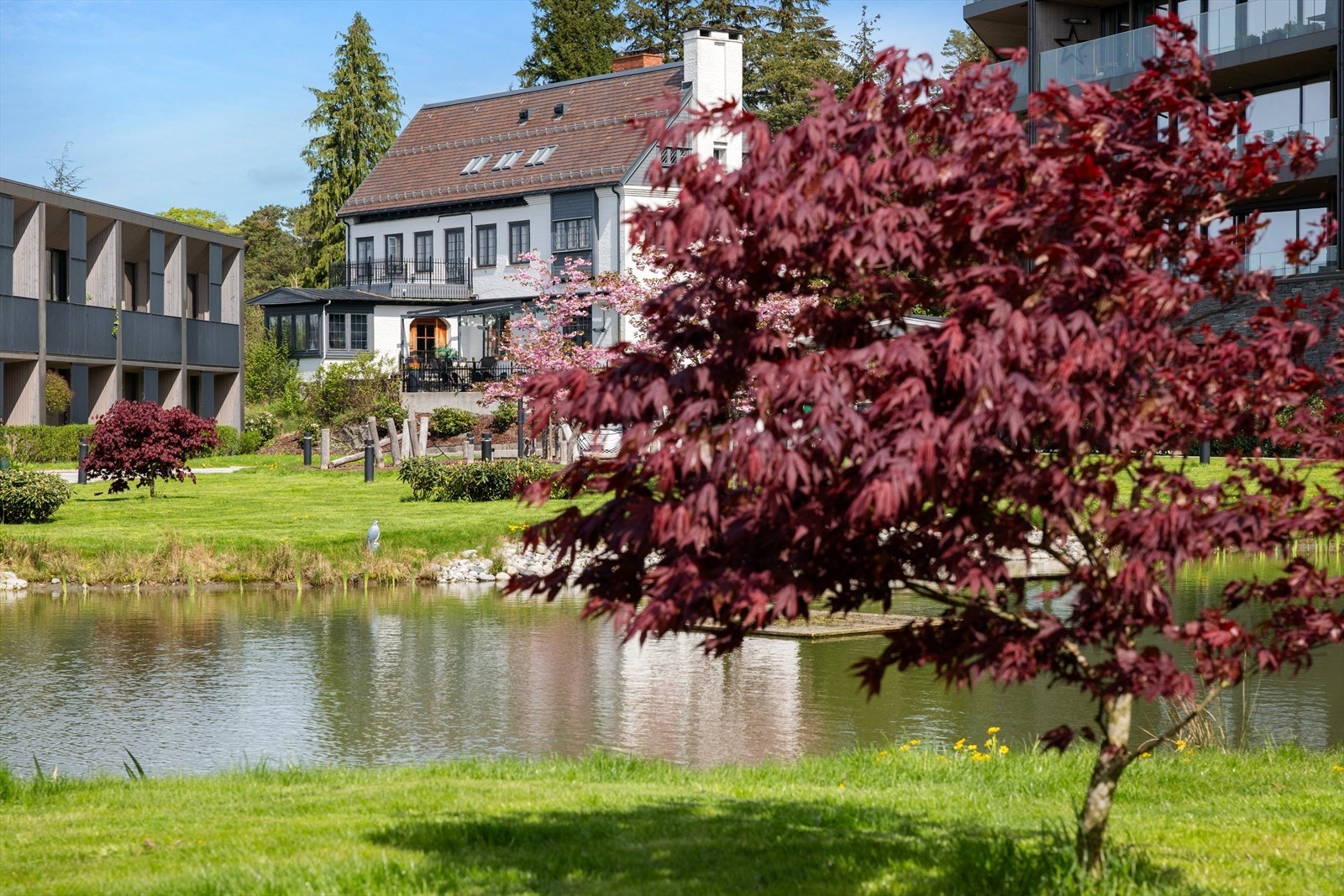 Nærområdet Galleribilde