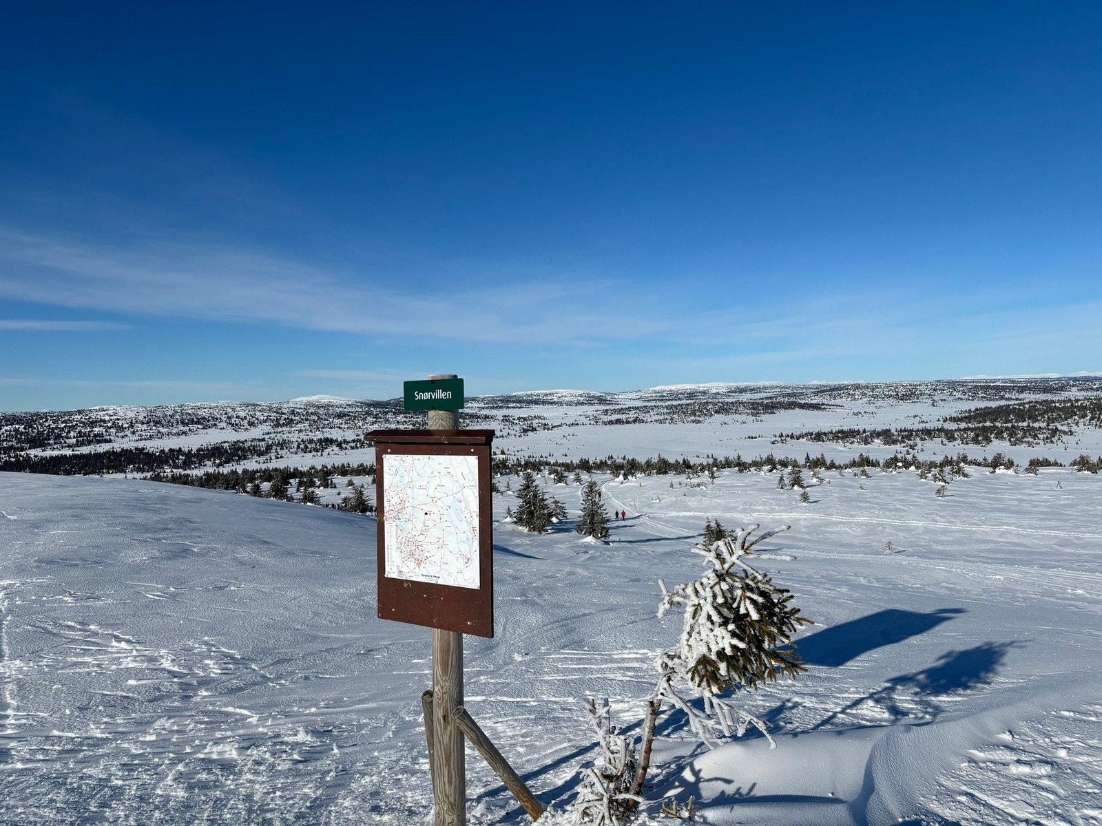 Bilde tatt av selger. Galleribilde