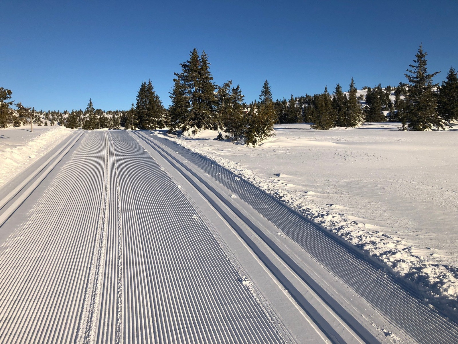 Bilde tatt av selger. Galleribilde