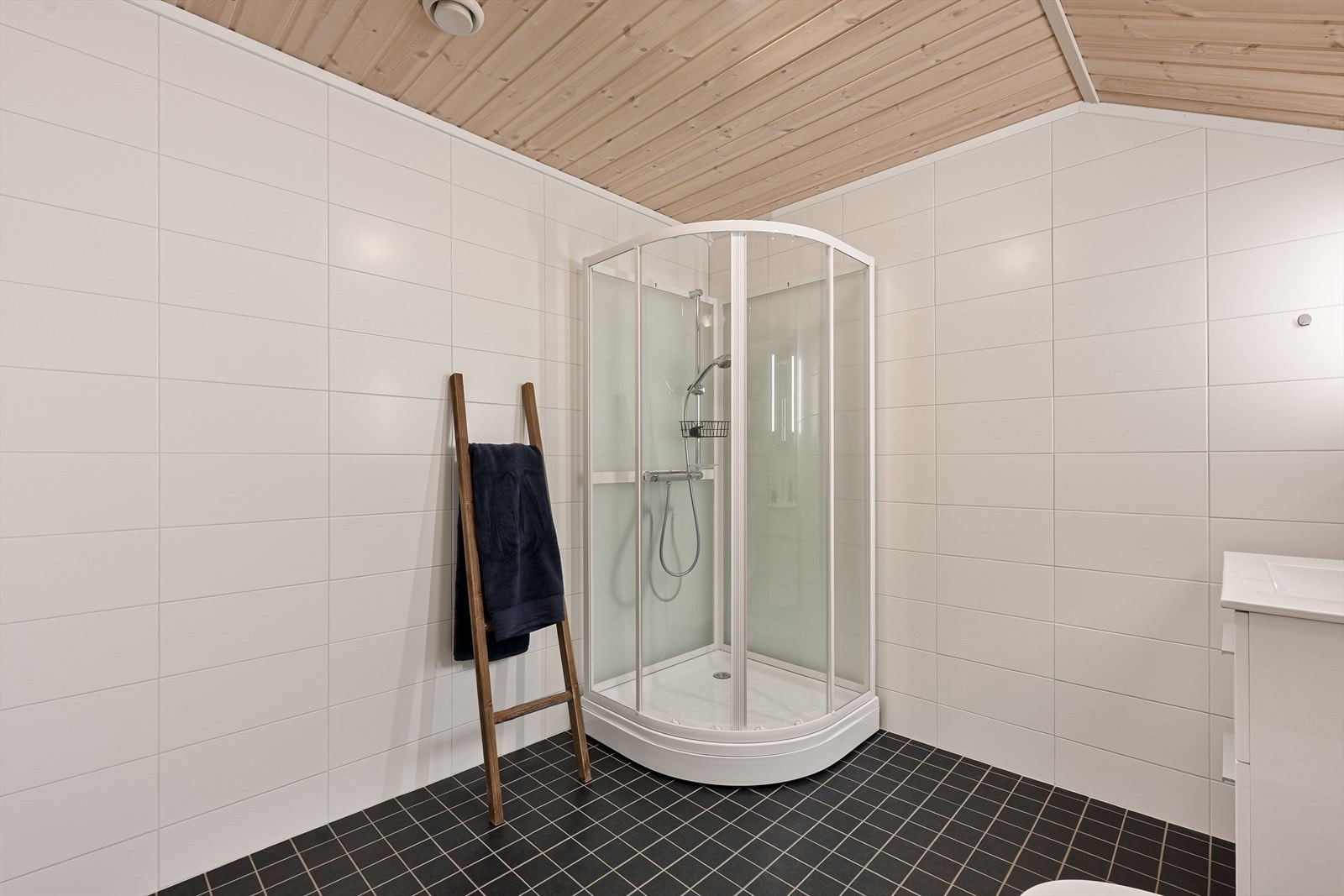 Dusjkabinett og baderomsinnredning og toalett Galleribilde