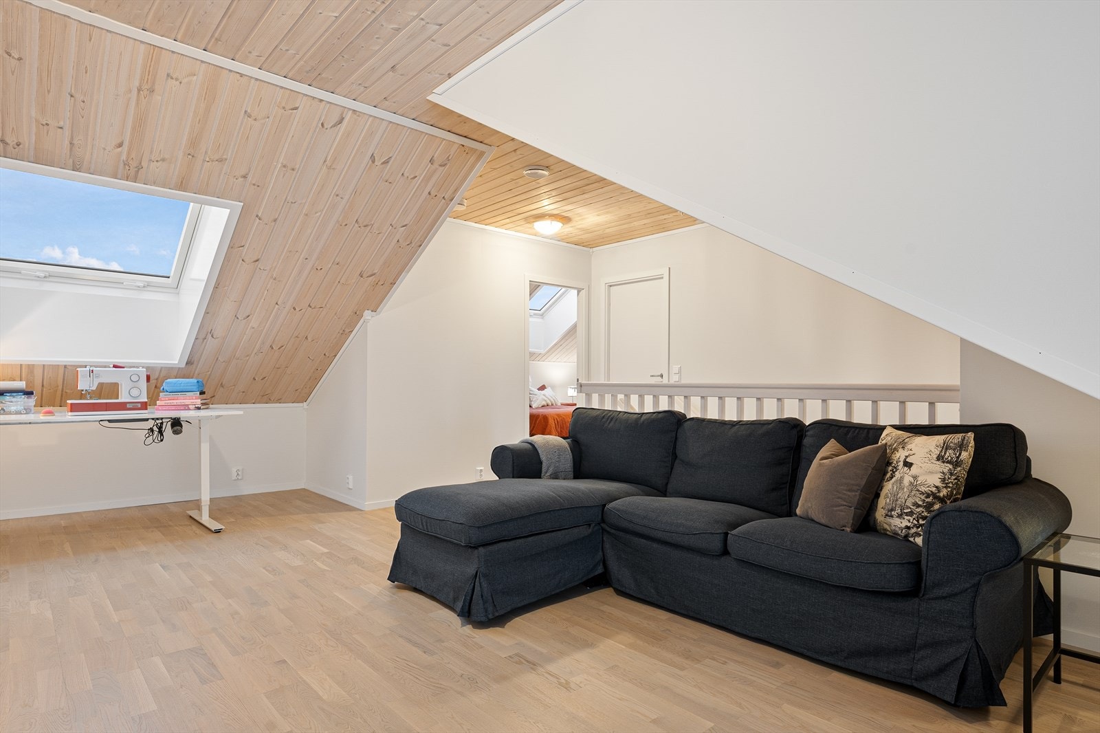 Stuen oppe har takvindu som gir mye lys inn Galleribilde