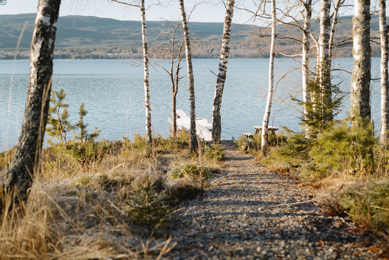 Utsikt fra hytta mot strandlinjen og Hurdalsjøen Galleribilde