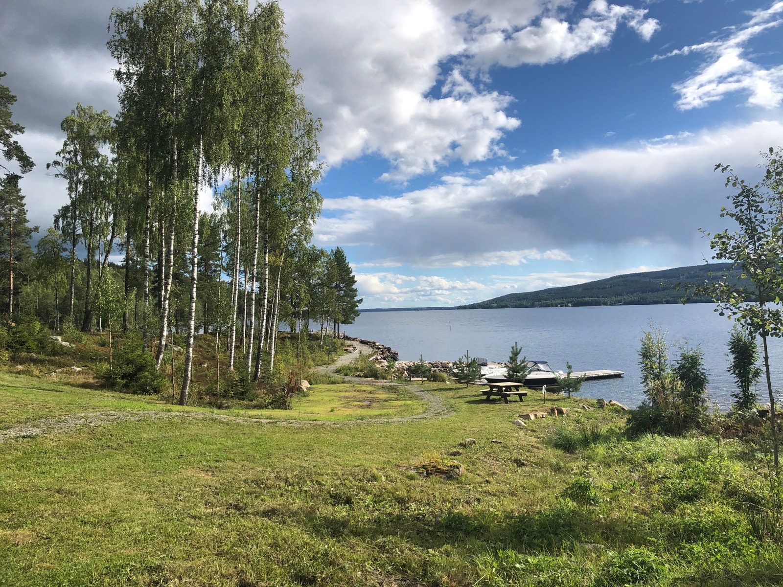 Bogen Brygge er preget av romslige grøntstrukturer Galleribilde