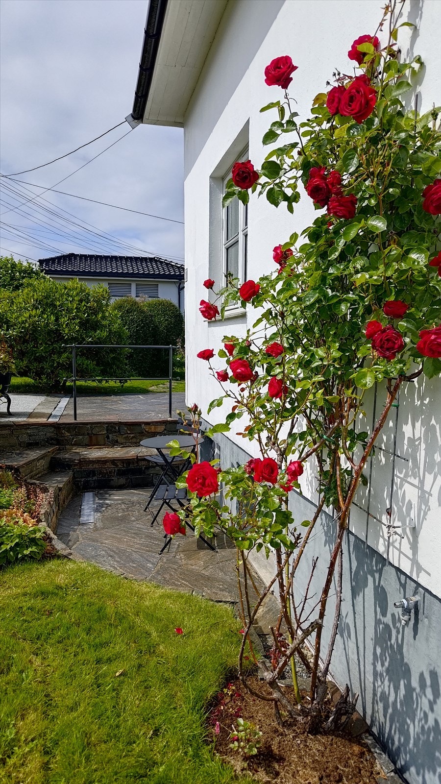 Sommar på Nordnes Galleribilde