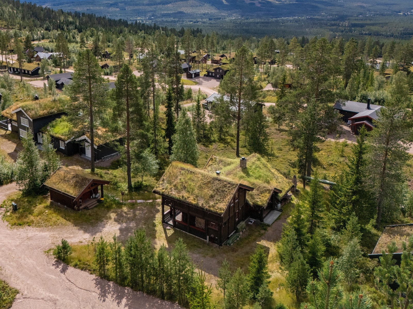 Velkommen til visning! Galleribilde