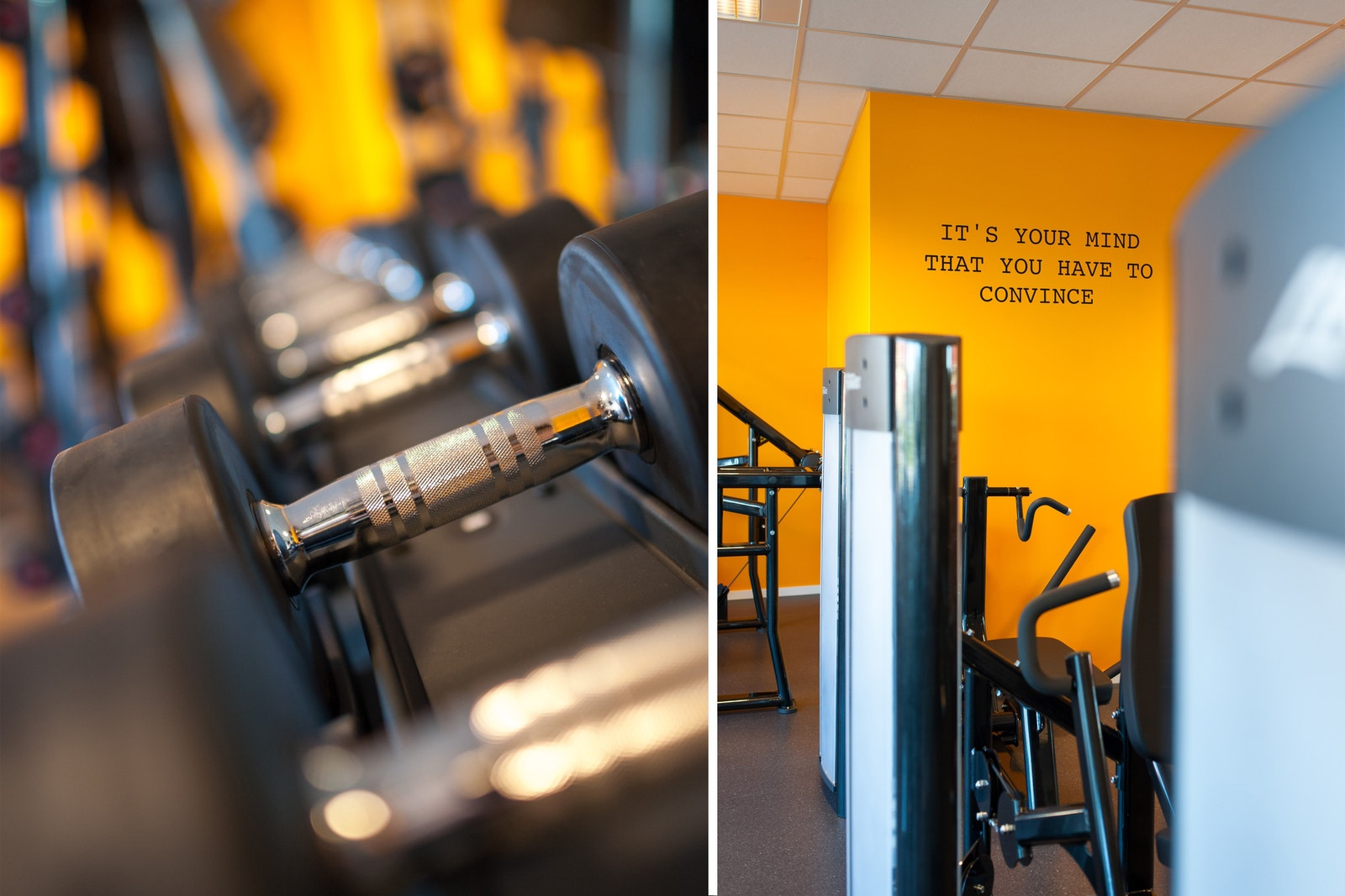 Muligheter for trening Galleribilde