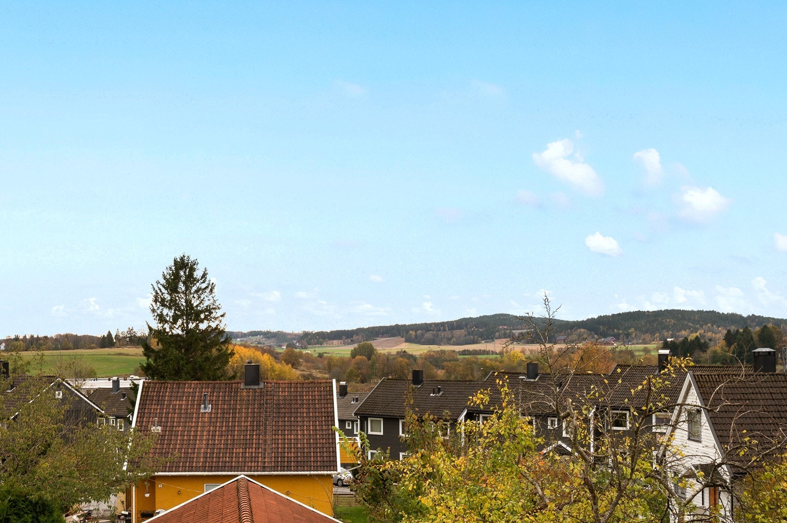 Utsikt mot nærområdet. Galleribilde