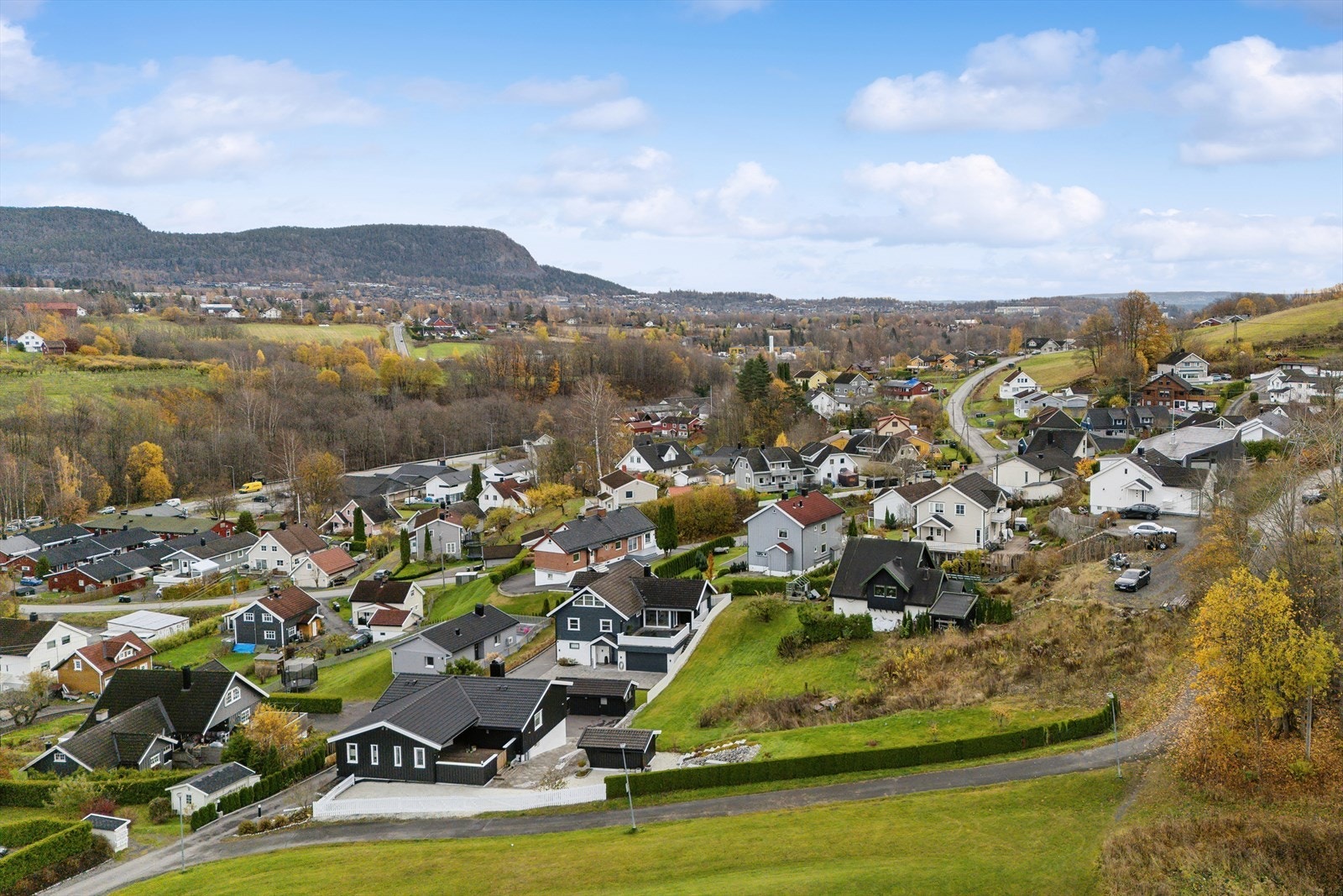 Tomten ligger i en av de beste gatene på Skui. Trafikkstille, markanært og barnevennlig. Galleribilde