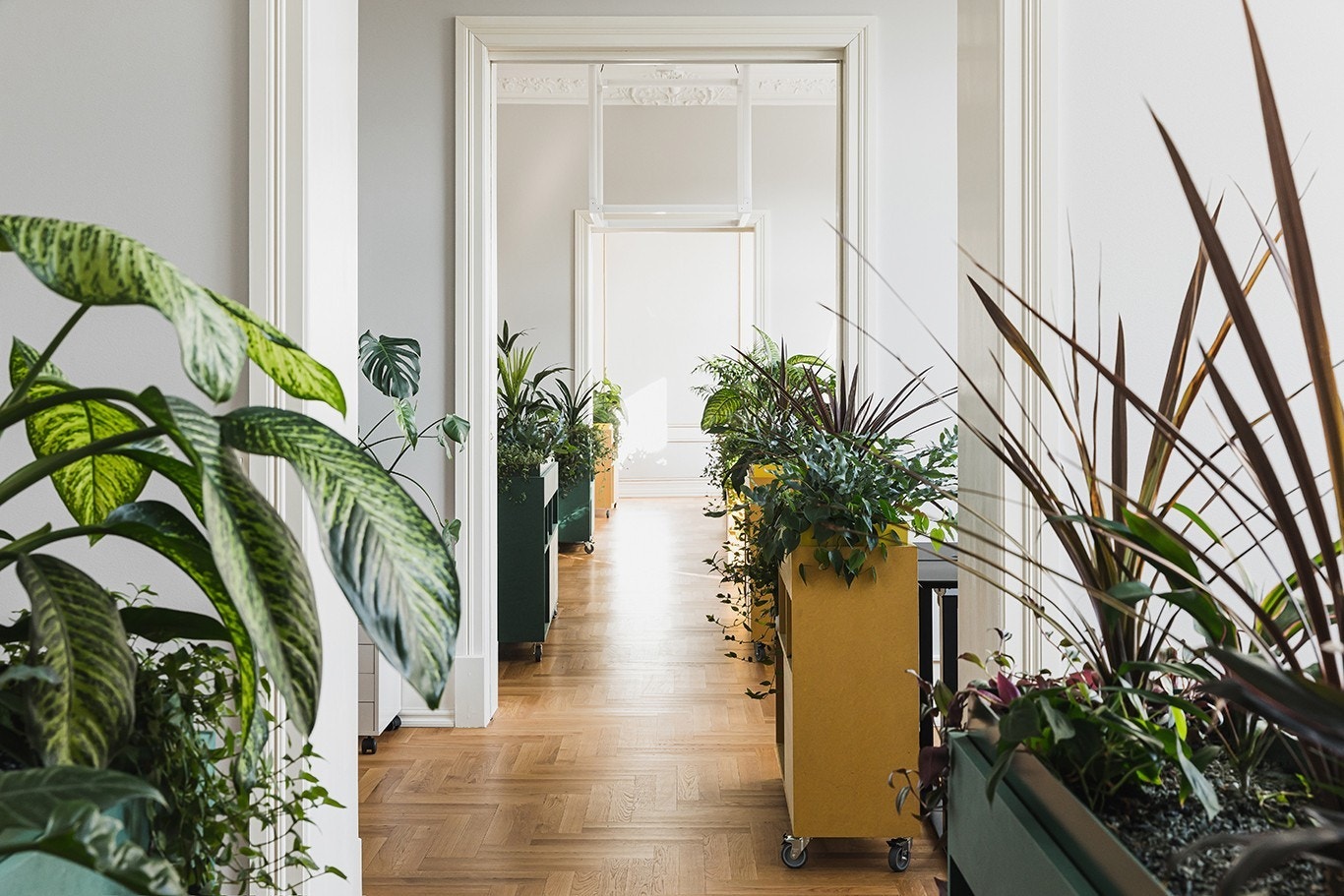 Foto: Sofie Brovold Interiør: TAG Arkitekter Galleribilde