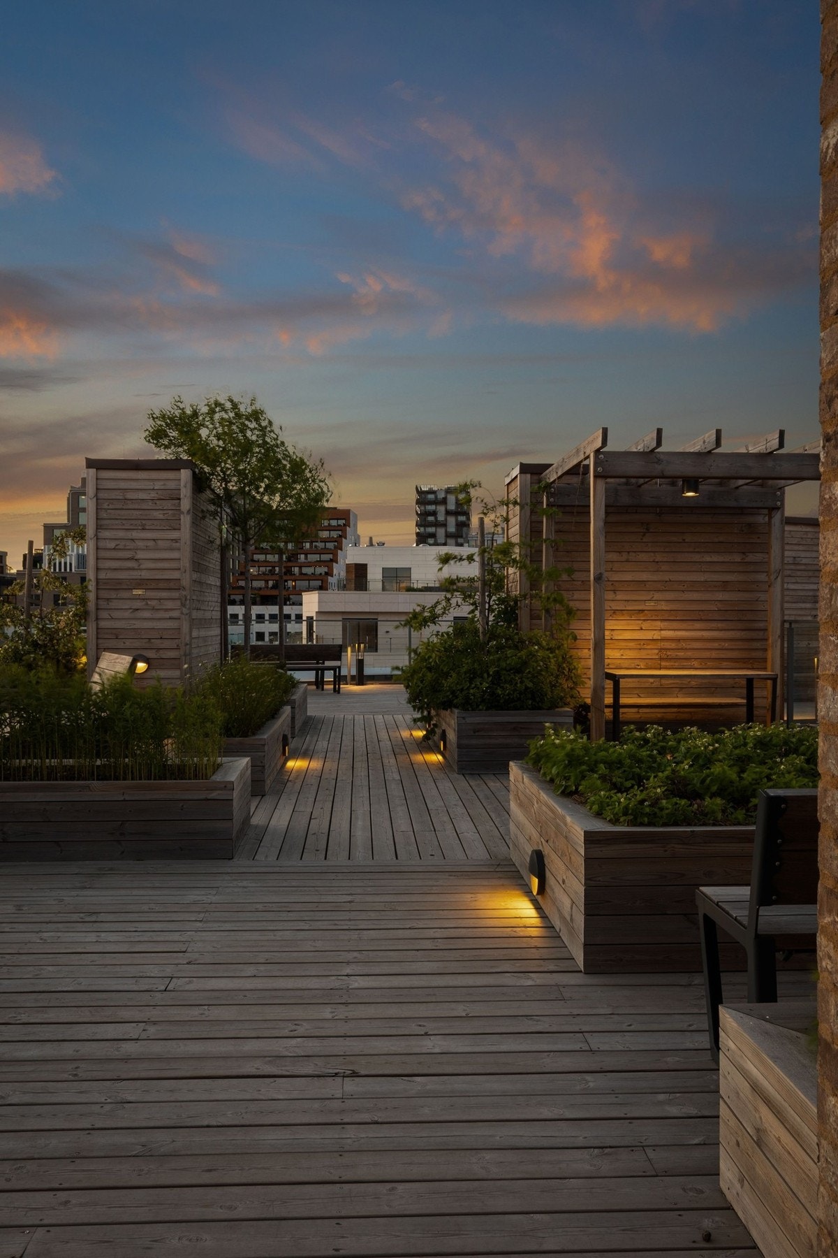 Felles takterrasser med panoramautsikt og to drivhus. Galleribilde