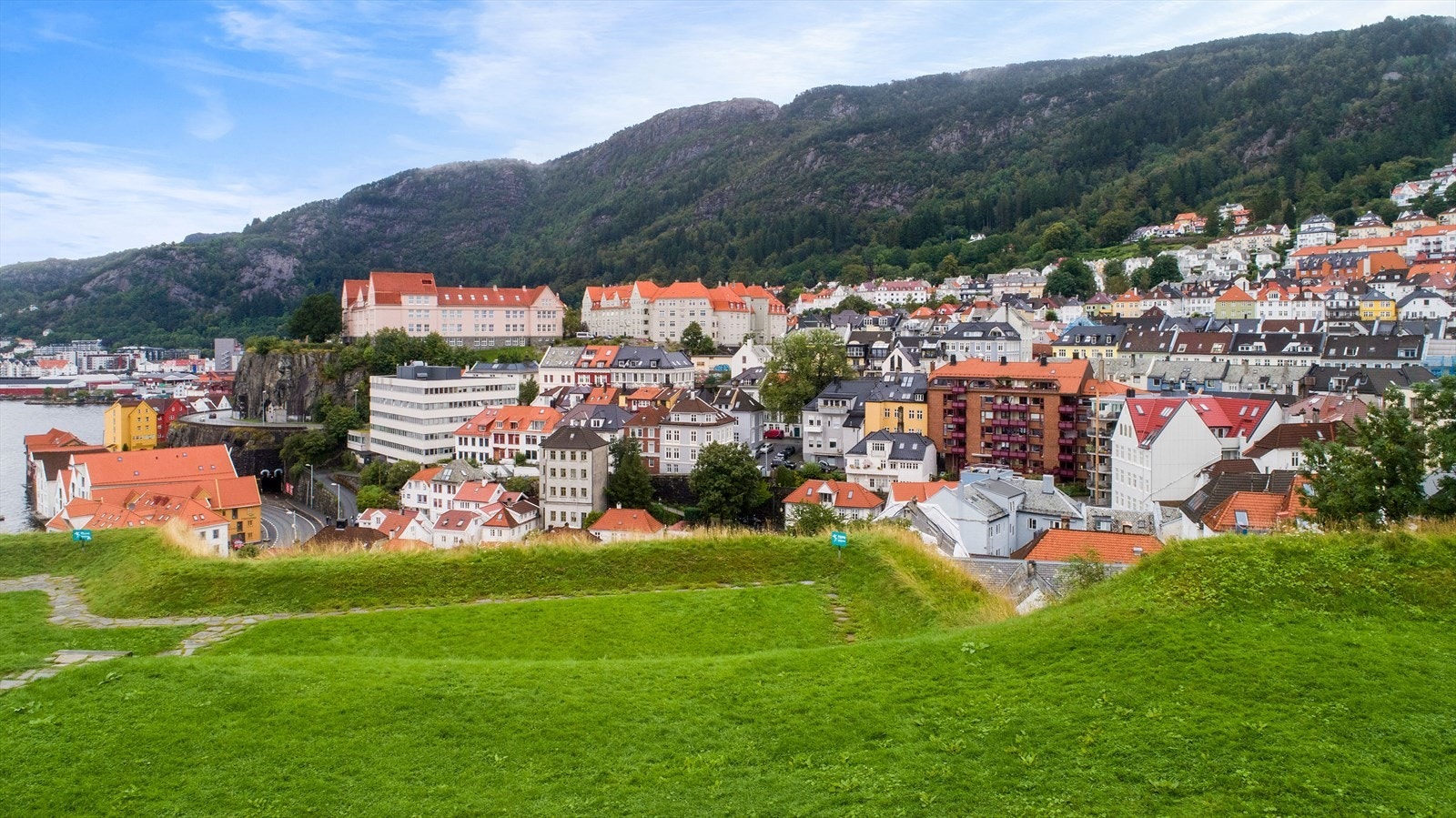 Like ved boligen finner du Sverresborg festning, et grønt og historisk parkområde med flott utsikt over Bergen. Sverresborg er et populært rekreasjonsområde for både lokalbefolkningen og besøkende. Her kan man slappe av i vakre omgivelser. Galleribilde