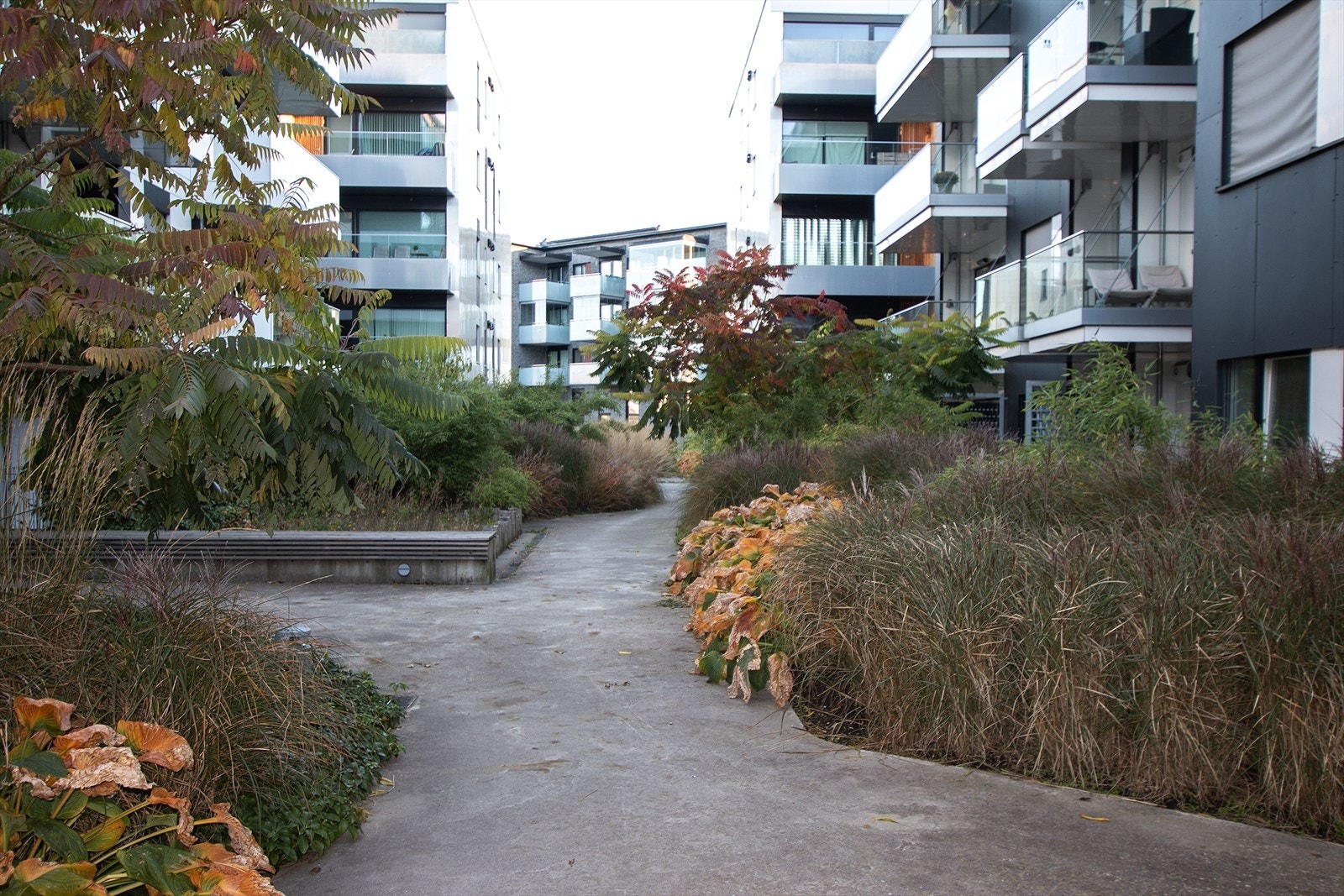 Gangstier og blomsterbed Galleribilde