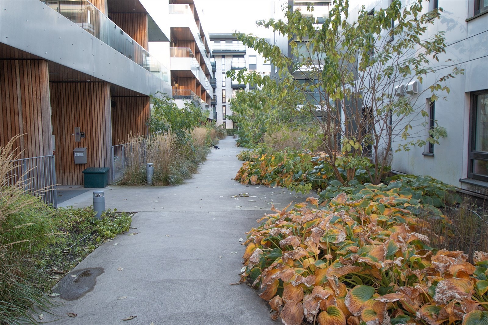 Uterom utenfor blokken Galleribilde