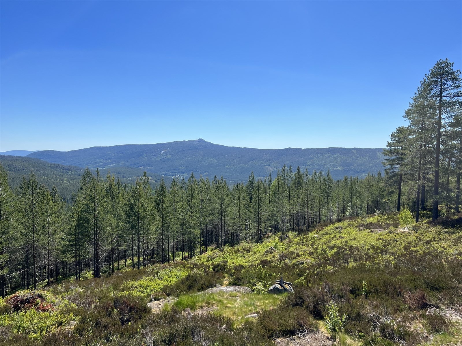 Privat bilde Galleribilde