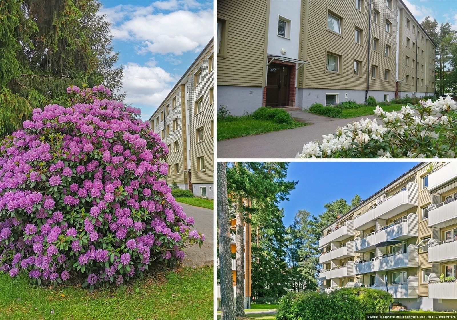 Utebilder tatt på en annen årstid. Et hyggelig inngangsparti ønsker deg velkommen. Galleribilde