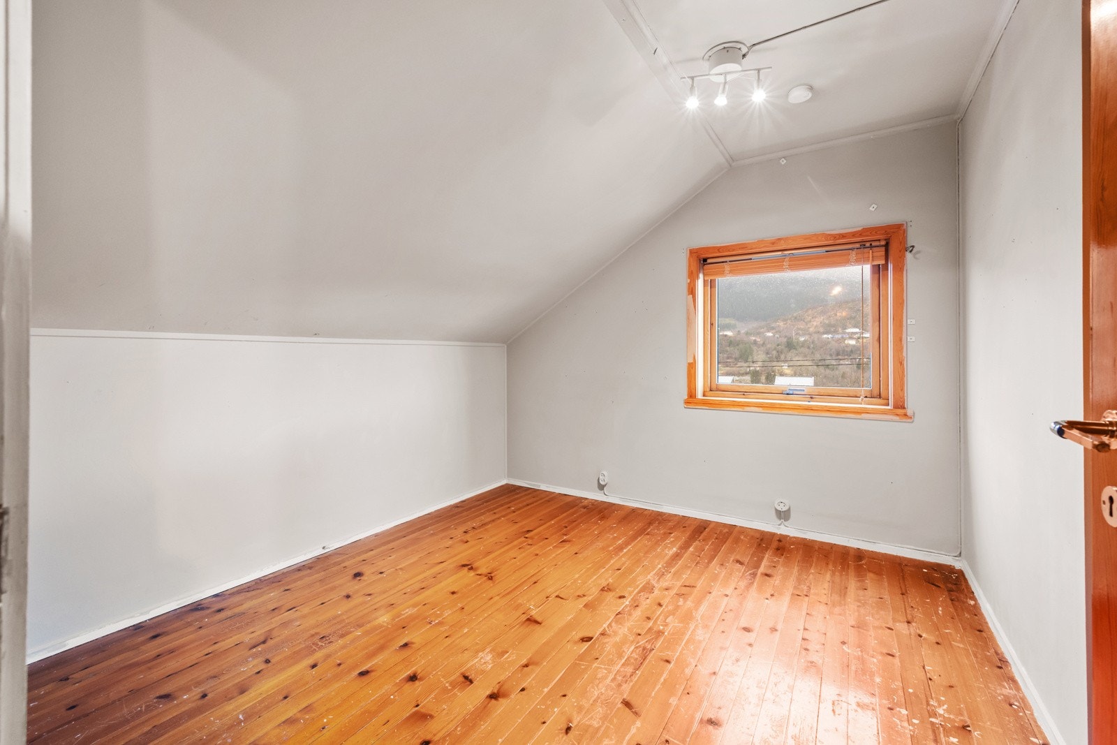 20251219-DSC_0678 Galleribilde