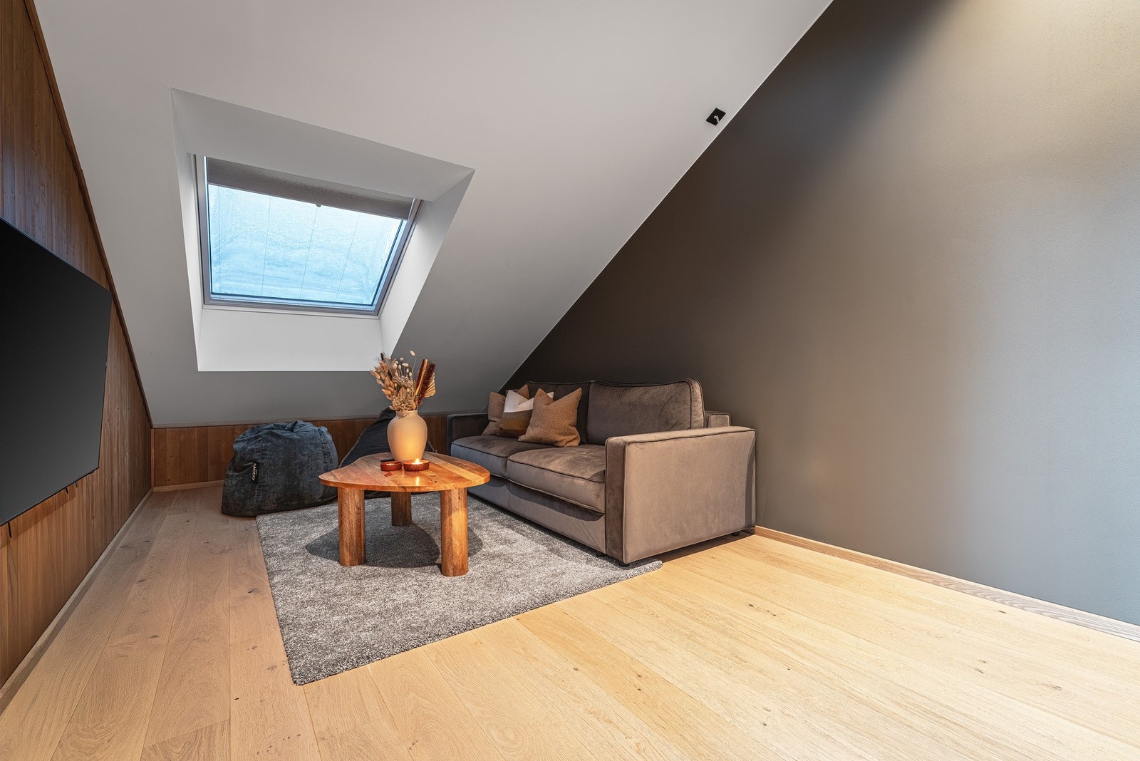 Tv-stue med takvindu. Galleribilde