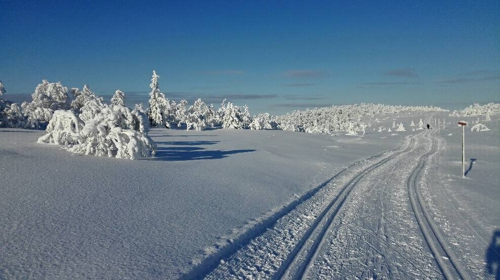 Fotograf: Stian Majormoen Galleribilde