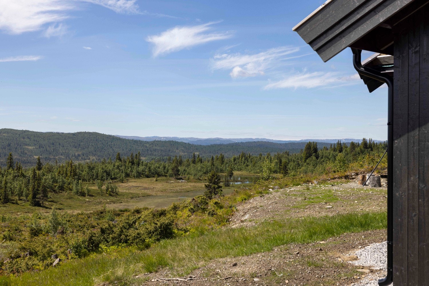 Lysernvegen Galleribilde