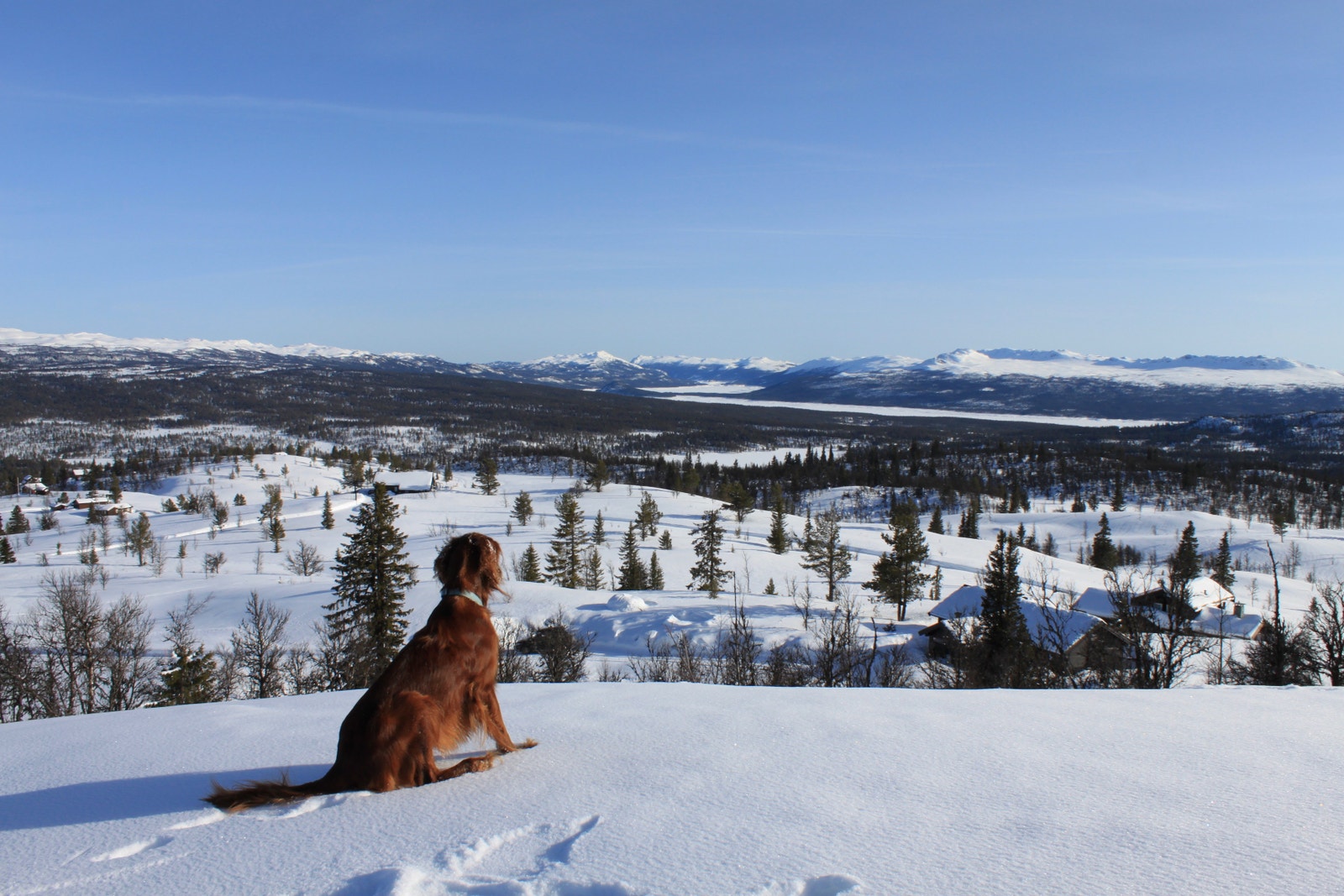 Fotograf: Stian Majormoen Galleribilde