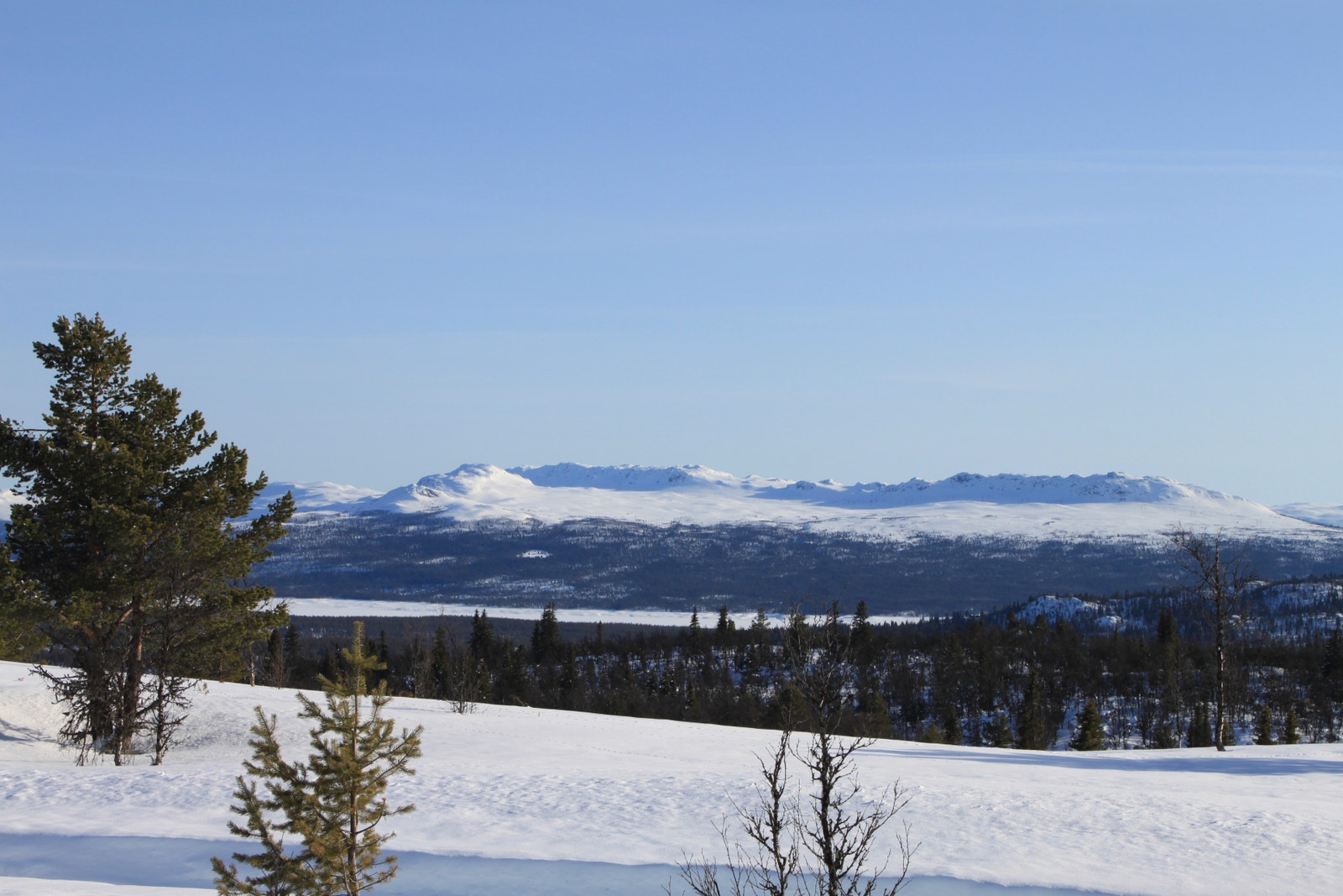 Fotograf: Stian Majormoen Galleribilde