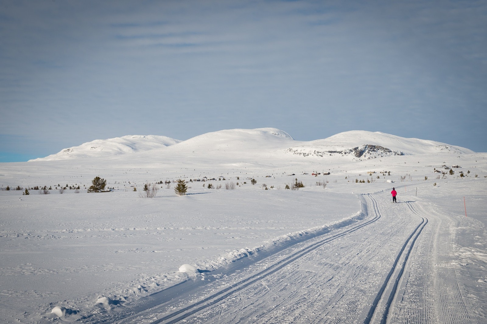 Milevis med skiløyper Galleribilde
