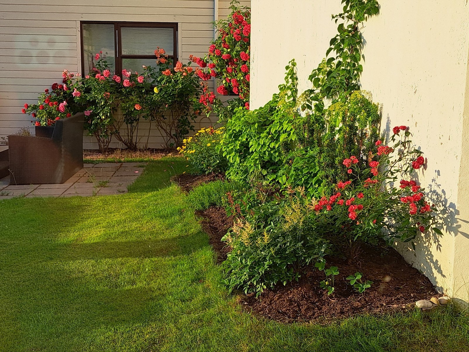 Blomsterhagen i fellesarealet nede (selgers private bilde) Galleribilde