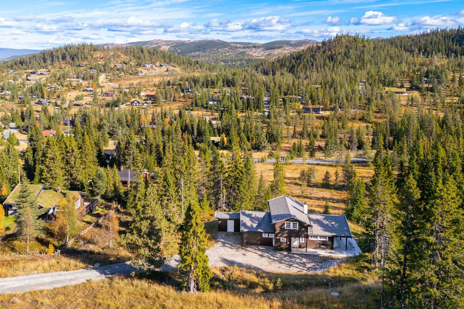 Nesfjellet Galleribilde