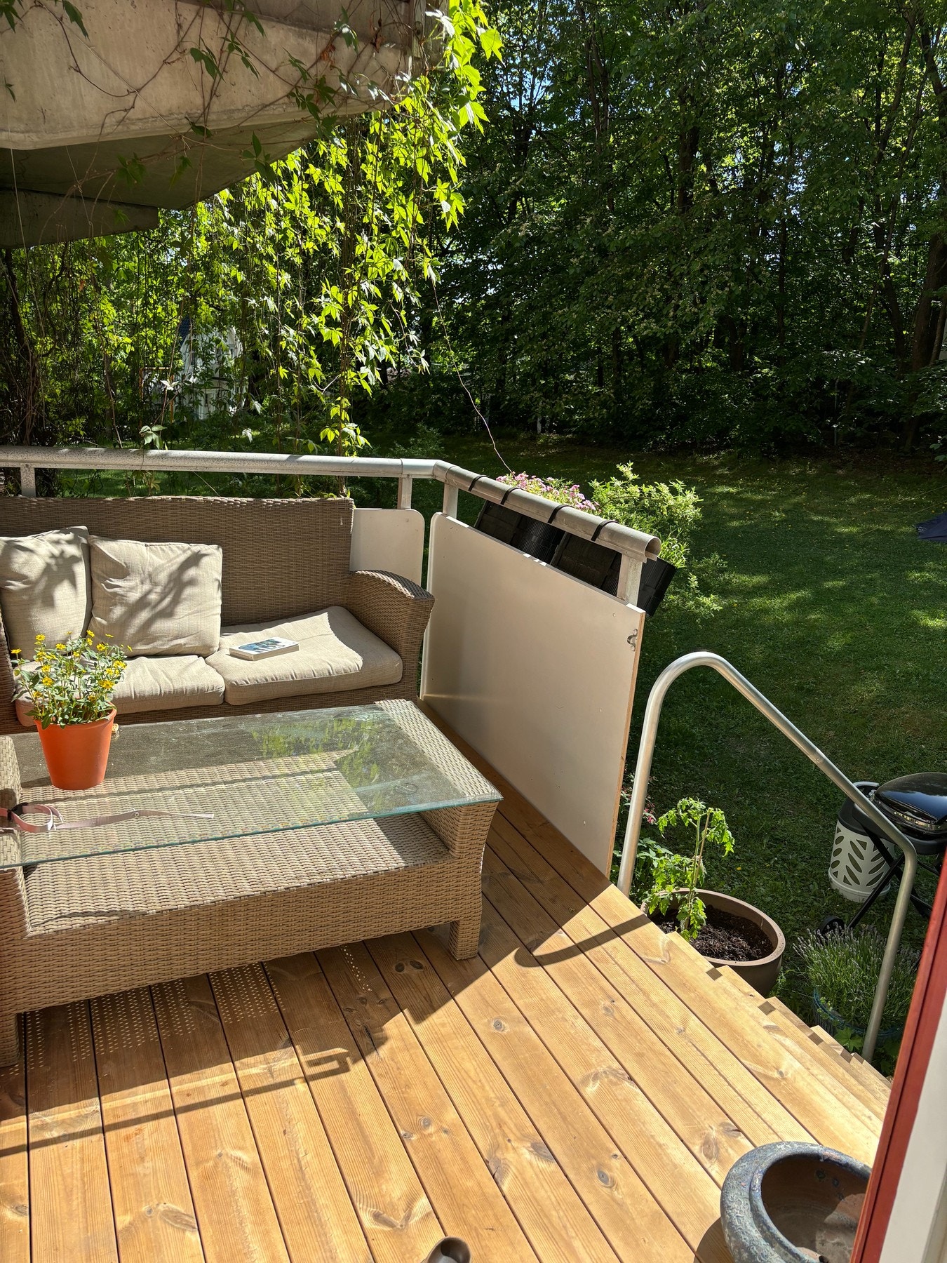 Selgers egne sommerbilder. Galleribilde