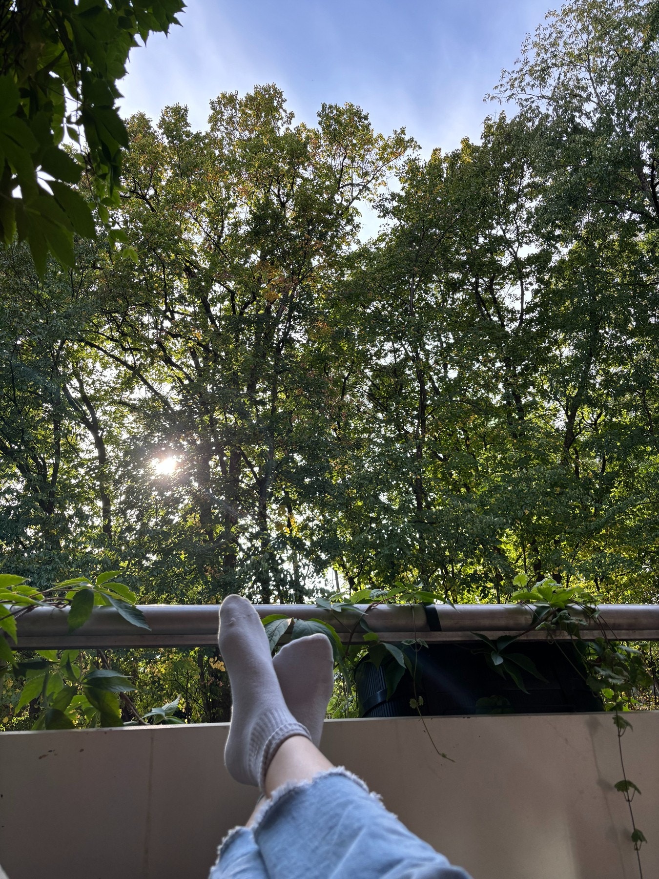 Her kan man nyte ro og fuglekvitter fra balkongen. Galleribilde