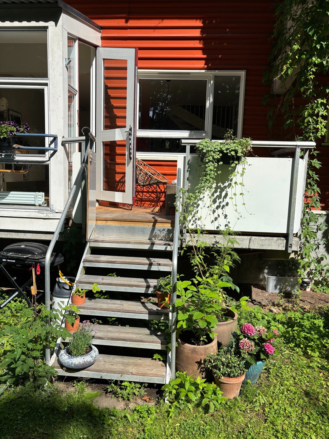 Selgers egne sommerbilder. Galleribilde