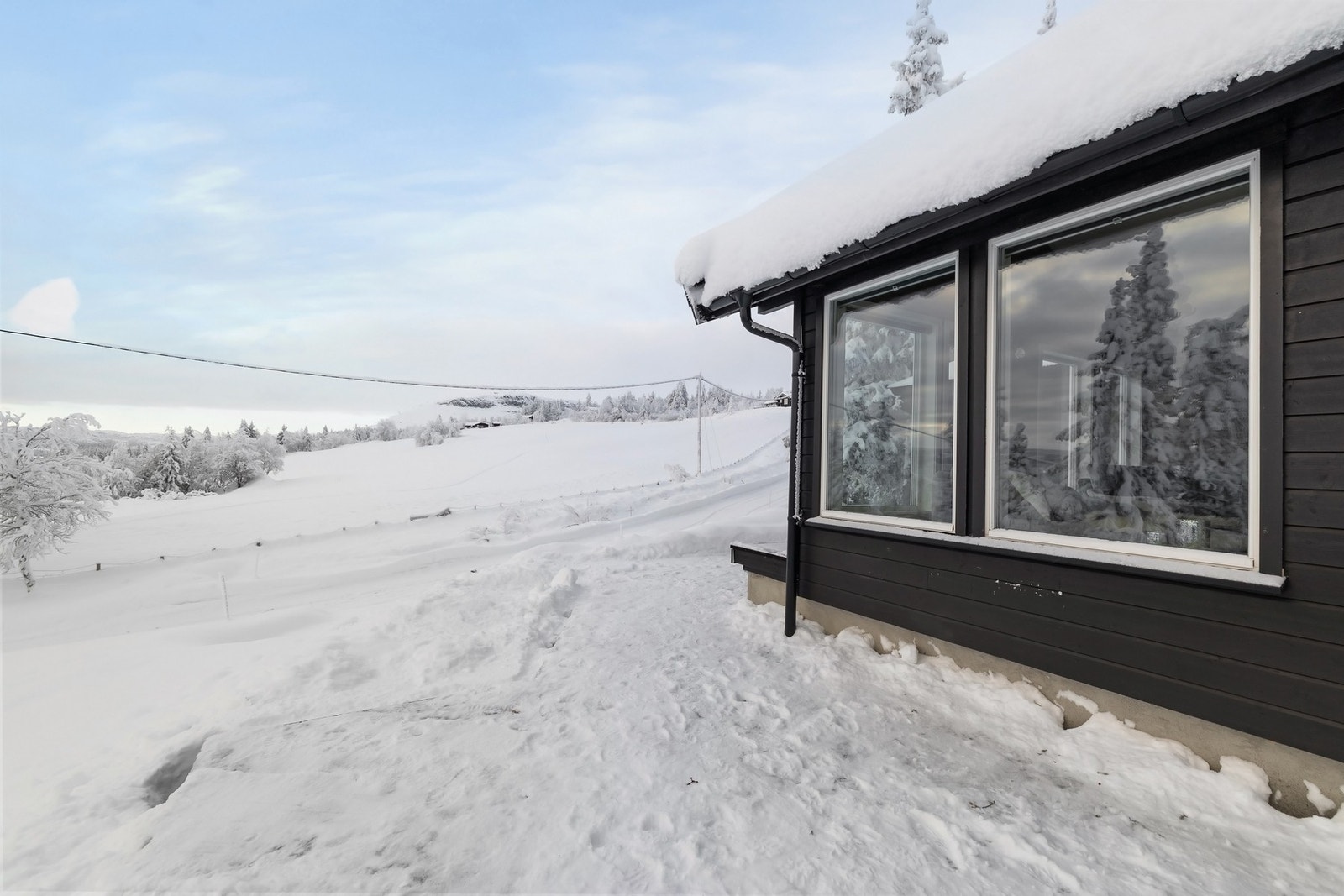 Store vindusflater slipper naturen helt inn. Galleribilde