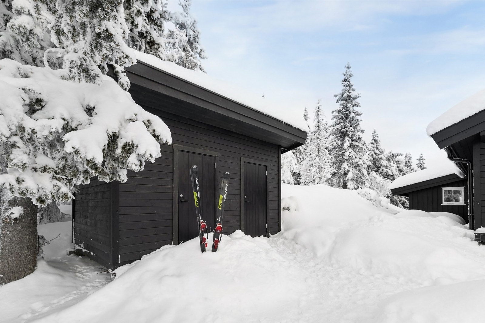 Rett ut i skiløypene fra hytteveggen. Galleribilde