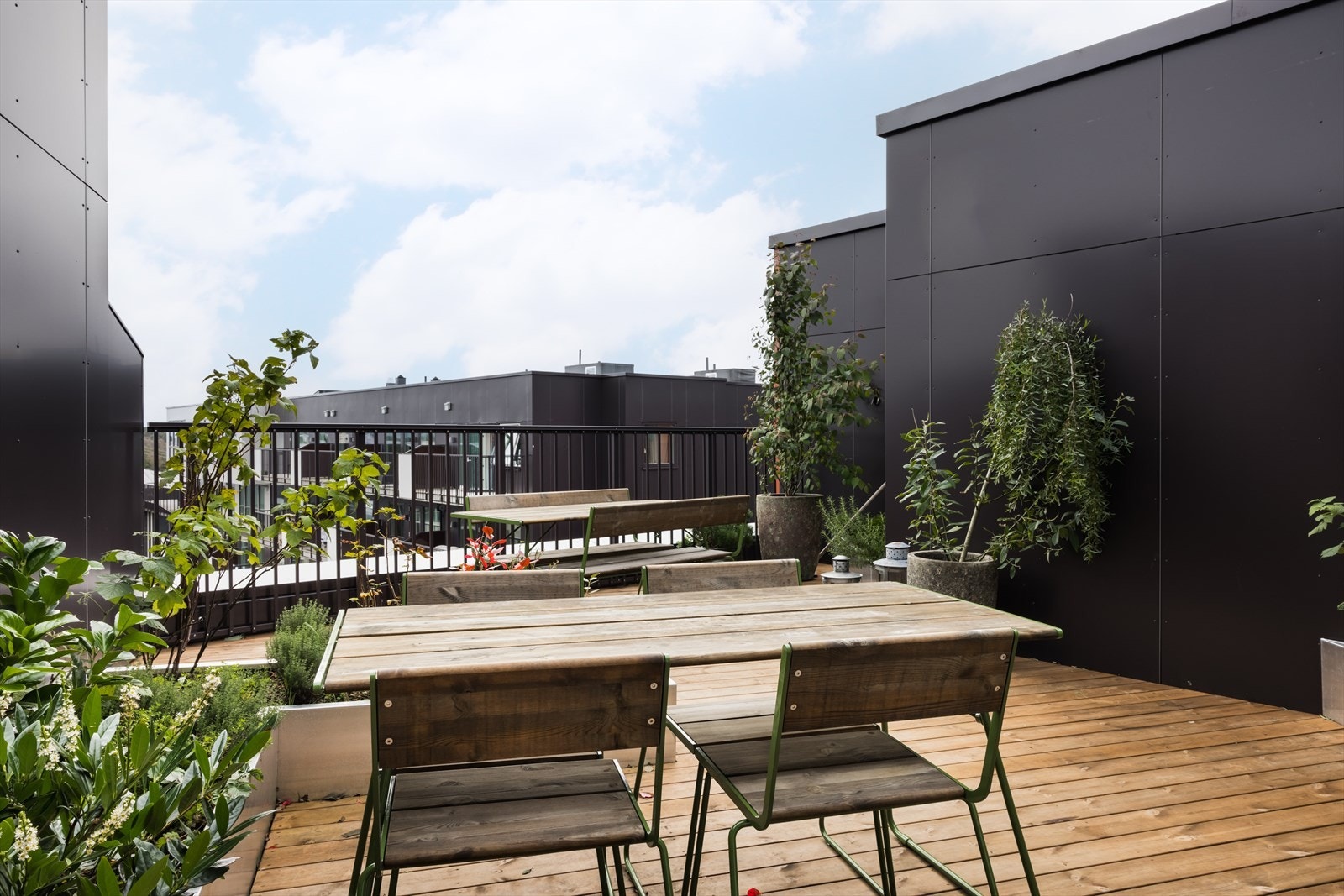 Her sitter du høyt og skjermet Galleribilde