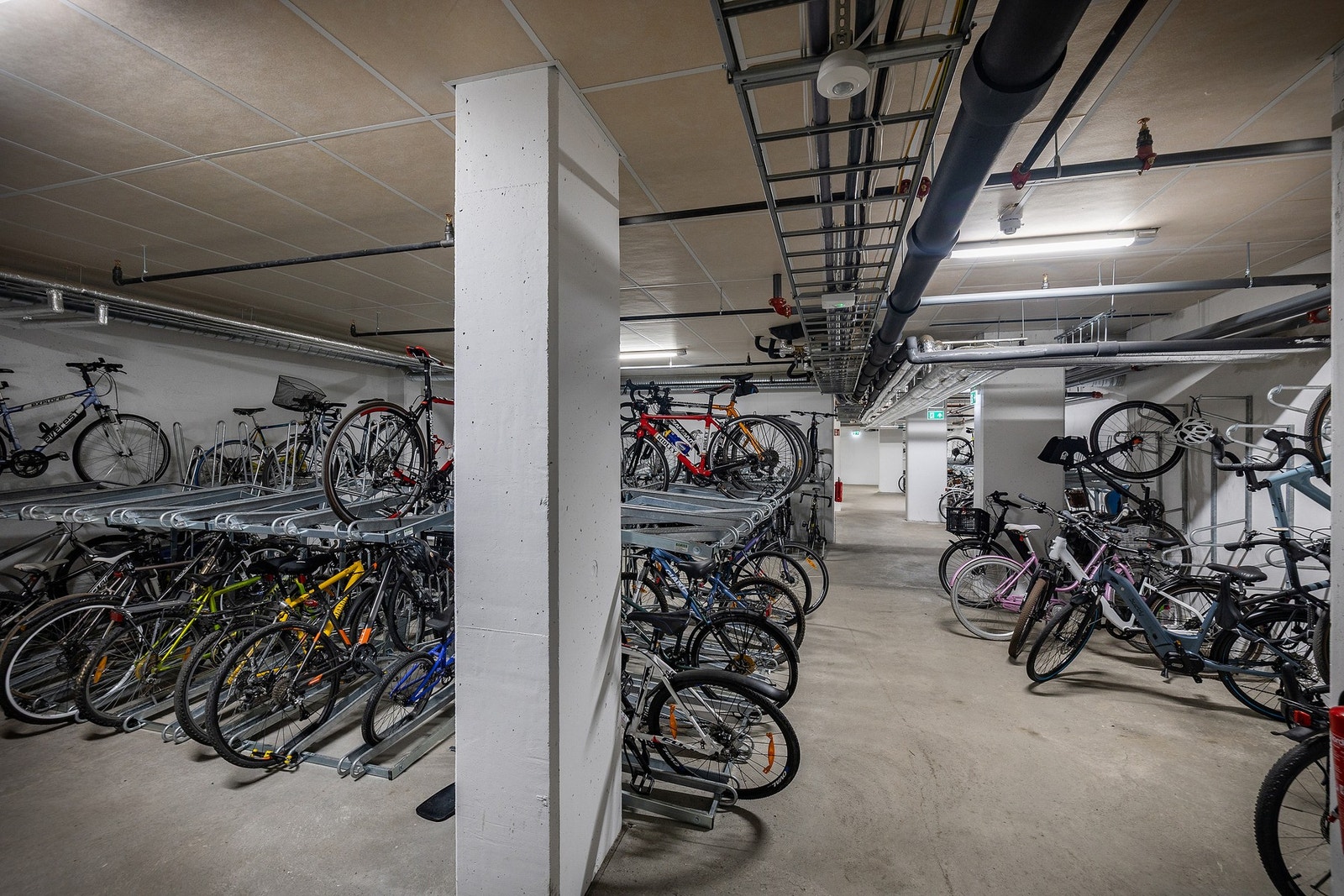 Felles sykkelbod. Galleribilde