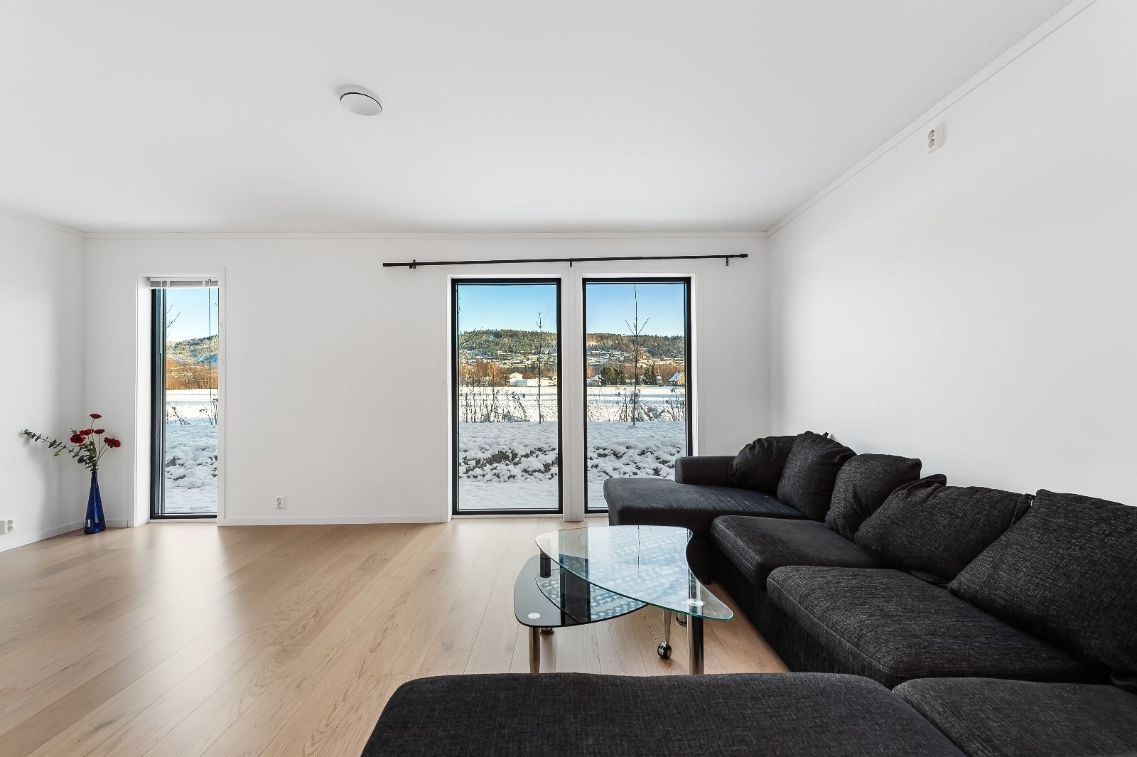 Store vindusflater som gir naturlig lys Galleribilde