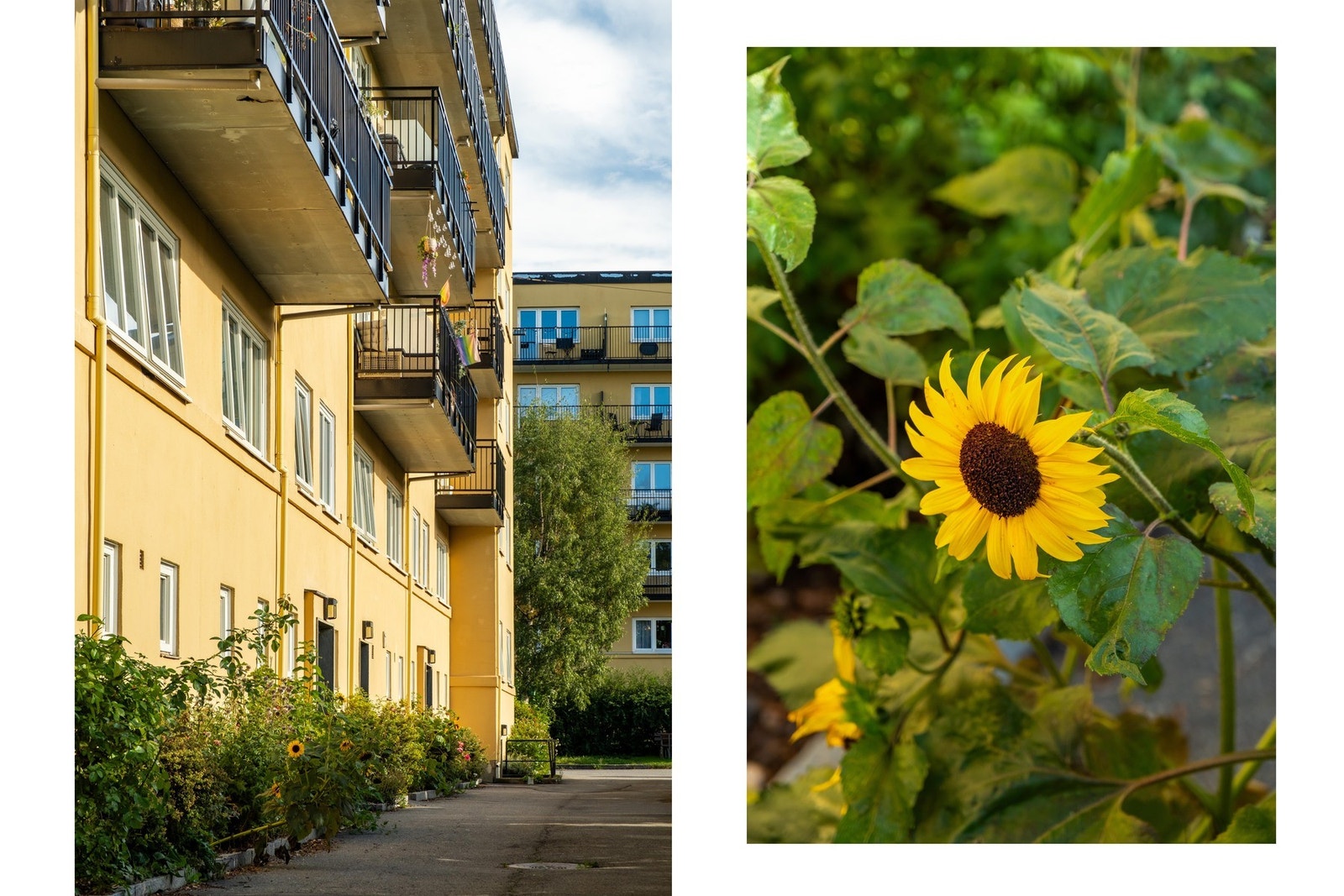 Det er flotte fellesrealer som beboerne kan benytte seg av! Galleribilde