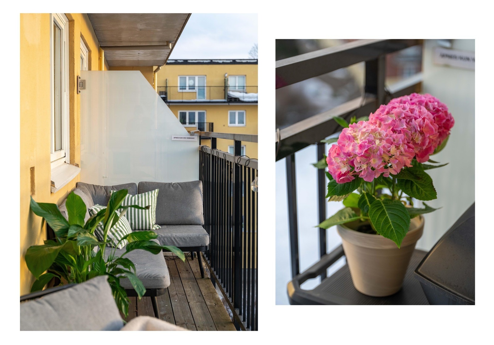 Her er det plass til hele to sittegrupper, flotte planter og grill! Galleribilde