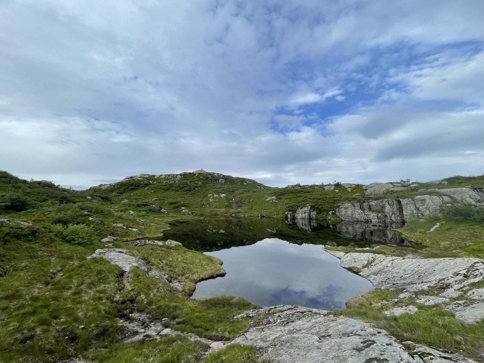 Fra fjellareal/Brekkeheia Galleribilde