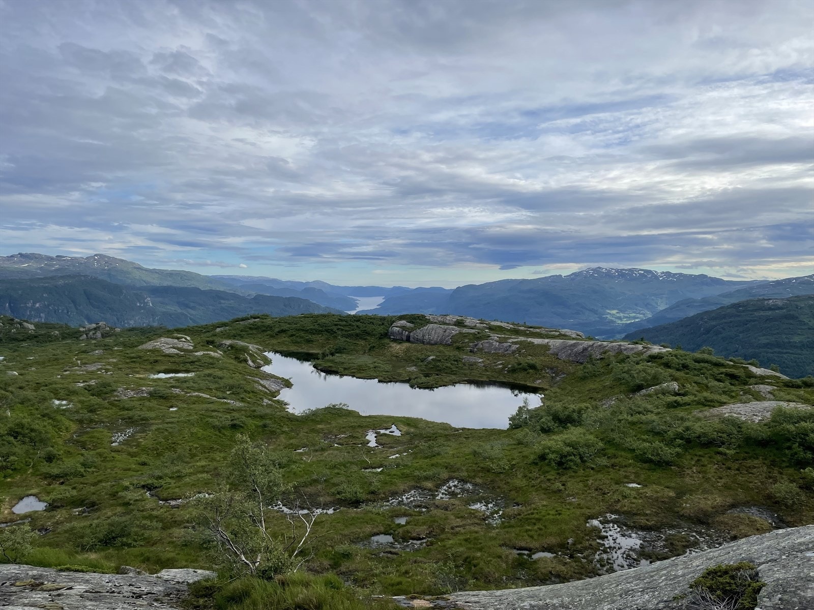 Fra fjellareal/Brekkeheia Galleribilde