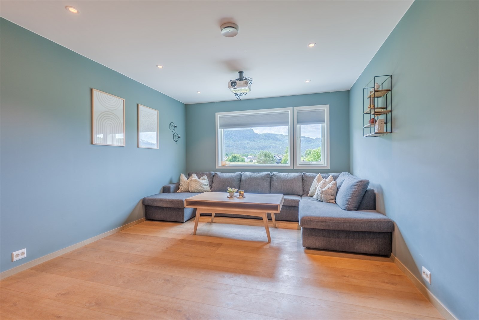 TV-stue - opplegg for projektor Galleribilde