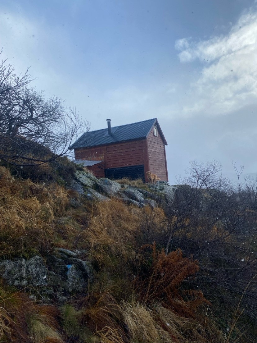 Jakt/sankebu Brekkeheia Galleribilde