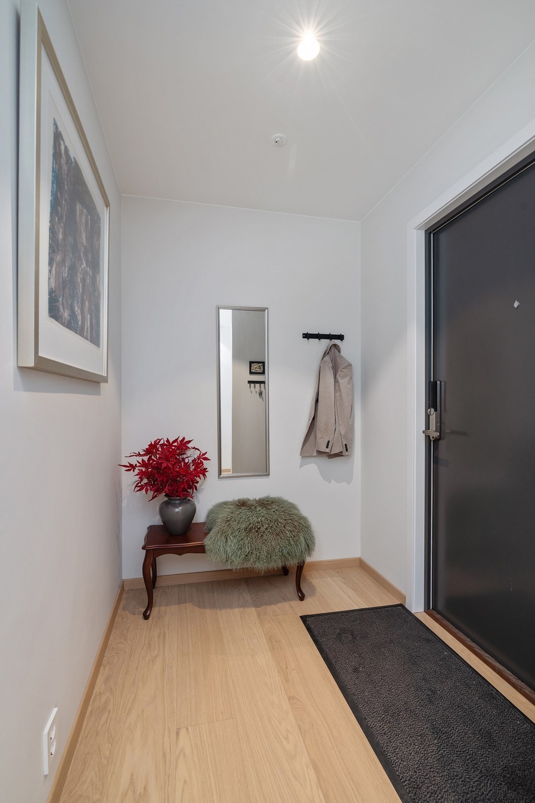 Inngangspartiet har en solid brann- og lyddør med kodelås for enkel og sikker adkomst. Galleribilde