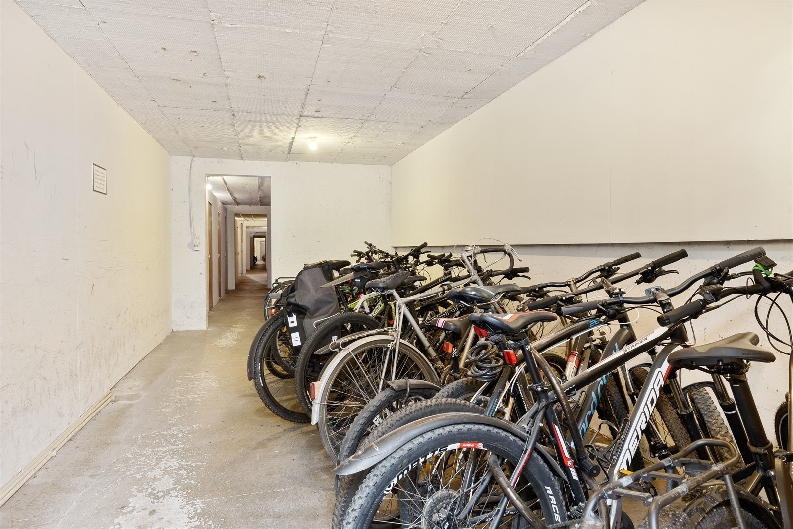 Felles sykkelbod Galleribilde