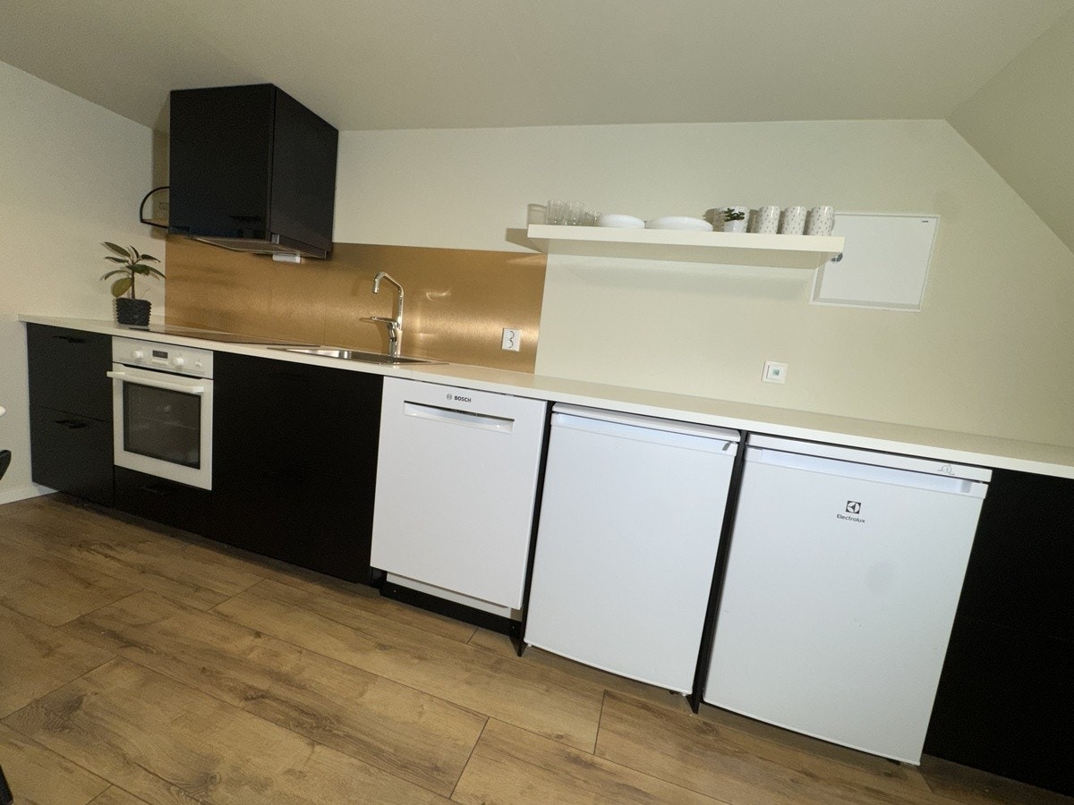 Komfyr, oppvaskmaskin, kjøl og frys Galleribilde