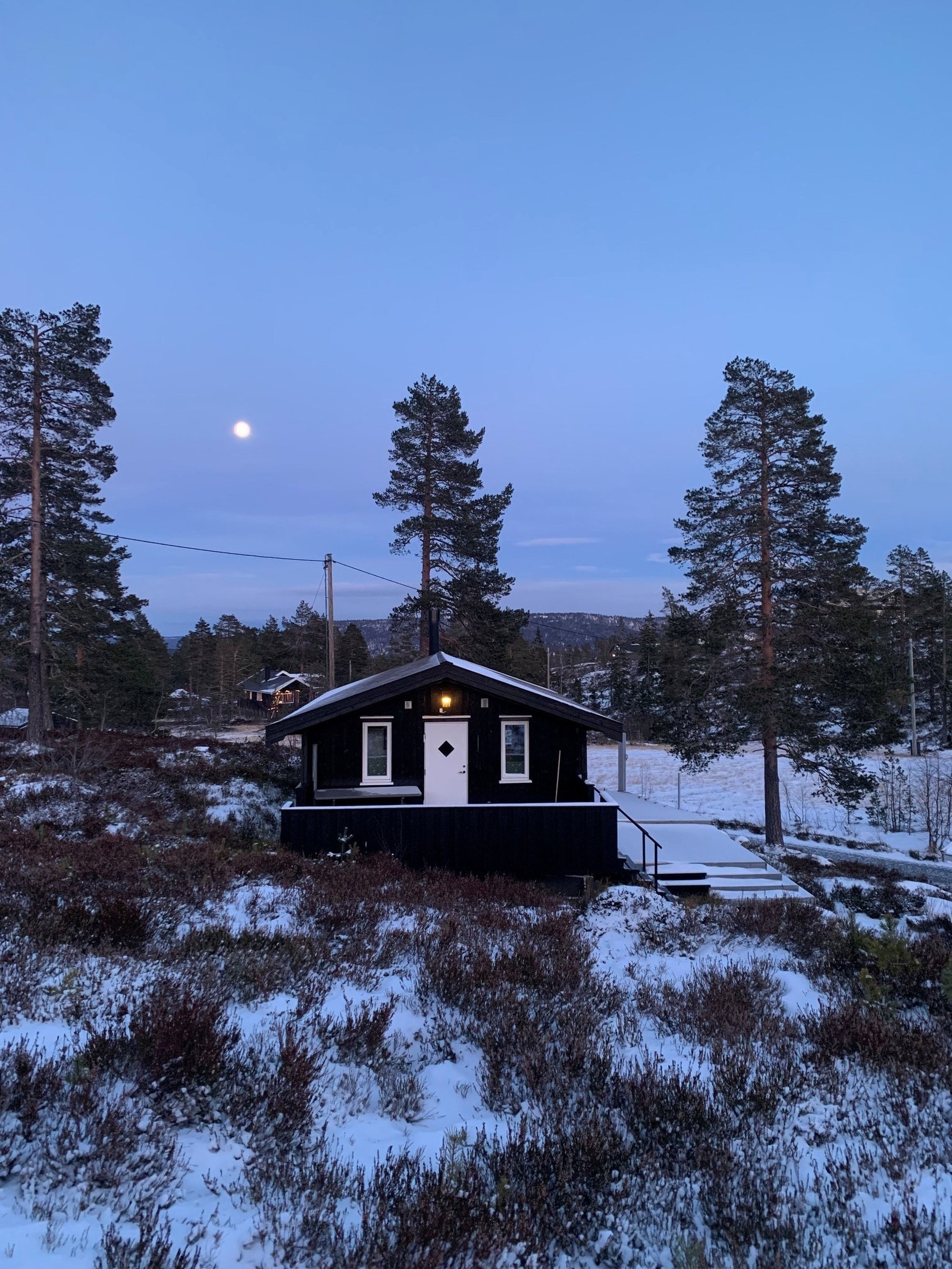 Trolsk stemning Galleribilde