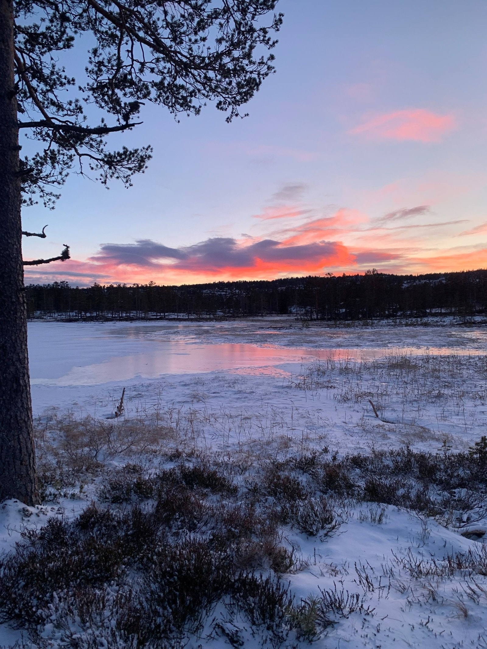 Aftenrøden over fjellet Galleribilde